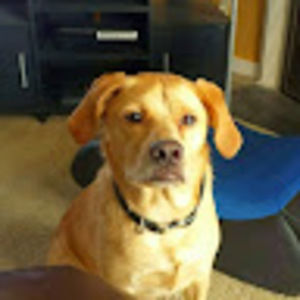 Meet your Posher, Quinston